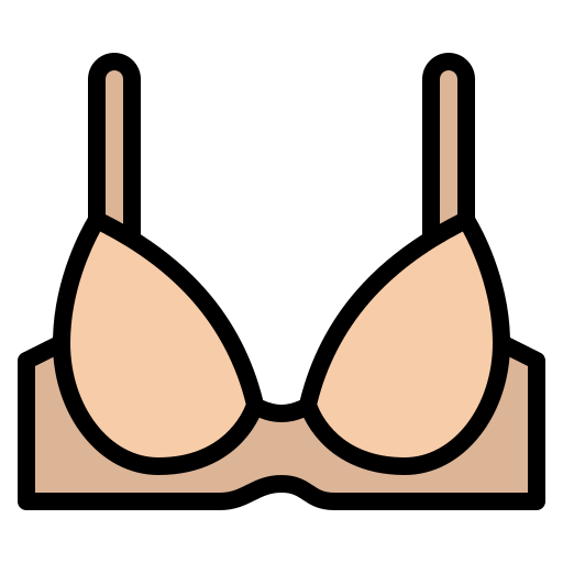 Bra icon