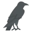 Raven ícone 64x64