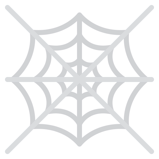Spider web icon