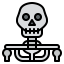 Skeleton 图标 64x64