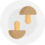 Mushrooms 图标 64x64