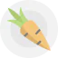 Carrot 图标 64x64