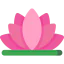Lotus icon 64x64