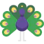 Turkey icon 64x64