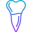 Premolar icon 64x64