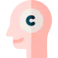 Head Ikona 64x64