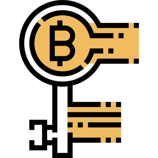 Private key icon