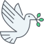Dove icon 64x64