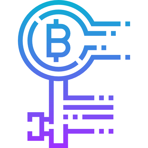 Private key icon