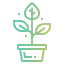Plant icon 64x64