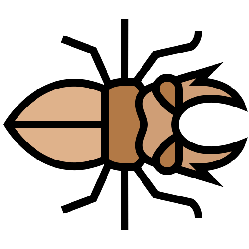 Beetle icon