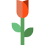 Rose 상 64x64