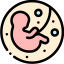 Fetus 상 64x64