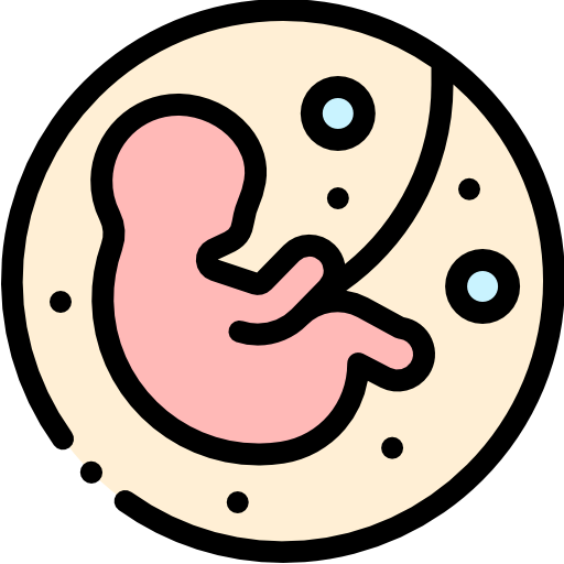 Fetus icon