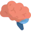 Brain icon 64x64