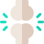 Femur 图标 64x64