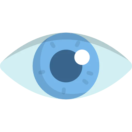 Eye icon