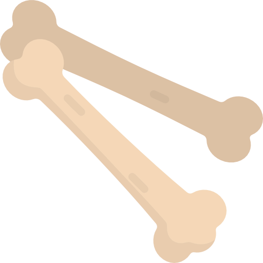 Bones icon