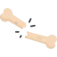 Bone icon 64x64