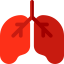 Lungs 图标 64x64