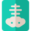 X ray 图标 64x64