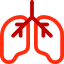 Lungs アイコン 64x64