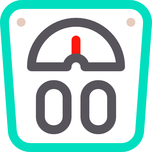 Scale icon