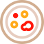 Petri dish icon 64x64