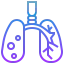 Lung icône 64x64