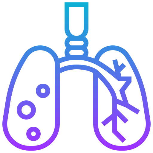 Lung іконка