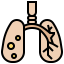 Lung icon 64x64