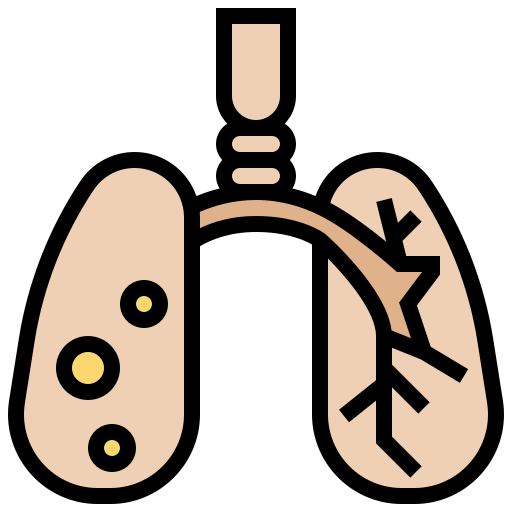 Lung icon