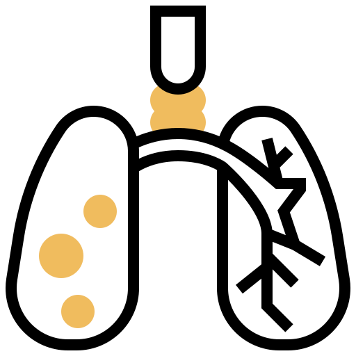 Lung icon