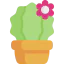 Cactus アイコン 64x64
