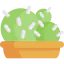 Cactus іконка 64x64