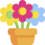 Flower pot biểu tượng 64x64