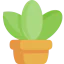 Plant pot biểu tượng 64x64