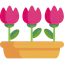 Flower pot biểu tượng 64x64