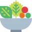 Salad ícono 64x64