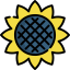 Sunflower icon 64x64