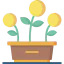 Growth icon 64x64