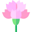 Carnation icon 64x64