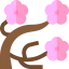 Cherry blossom icon 64x64