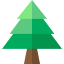 Pine icon 64x64