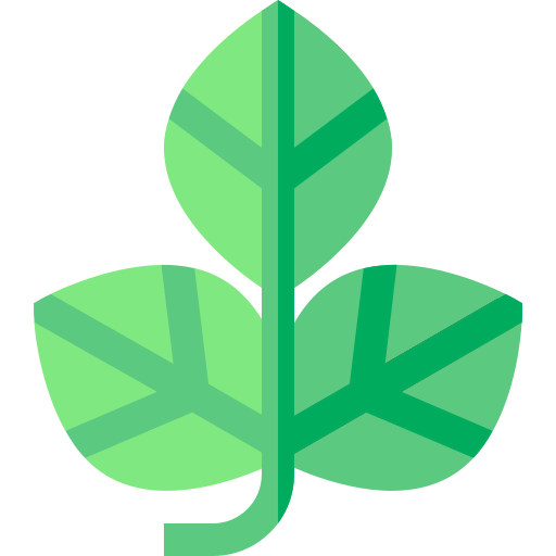 Leaf icon