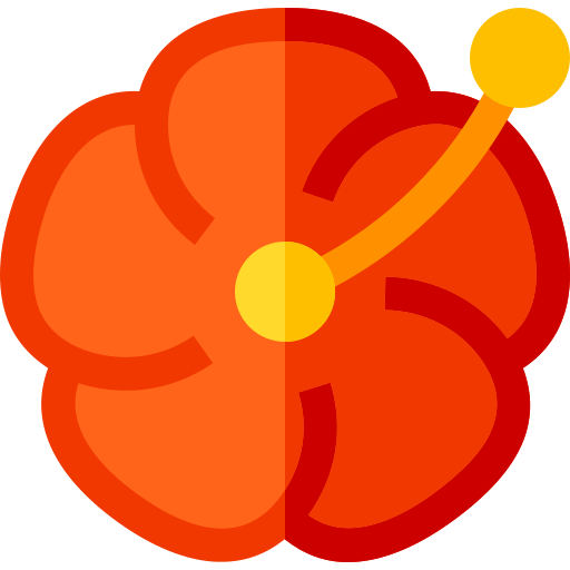 Hibiscus icon