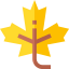 Maple leaf Symbol 64x64