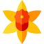 Daffodil icon 64x64