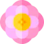 Anemone icon 64x64