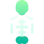 Skeleton 图标 64x64